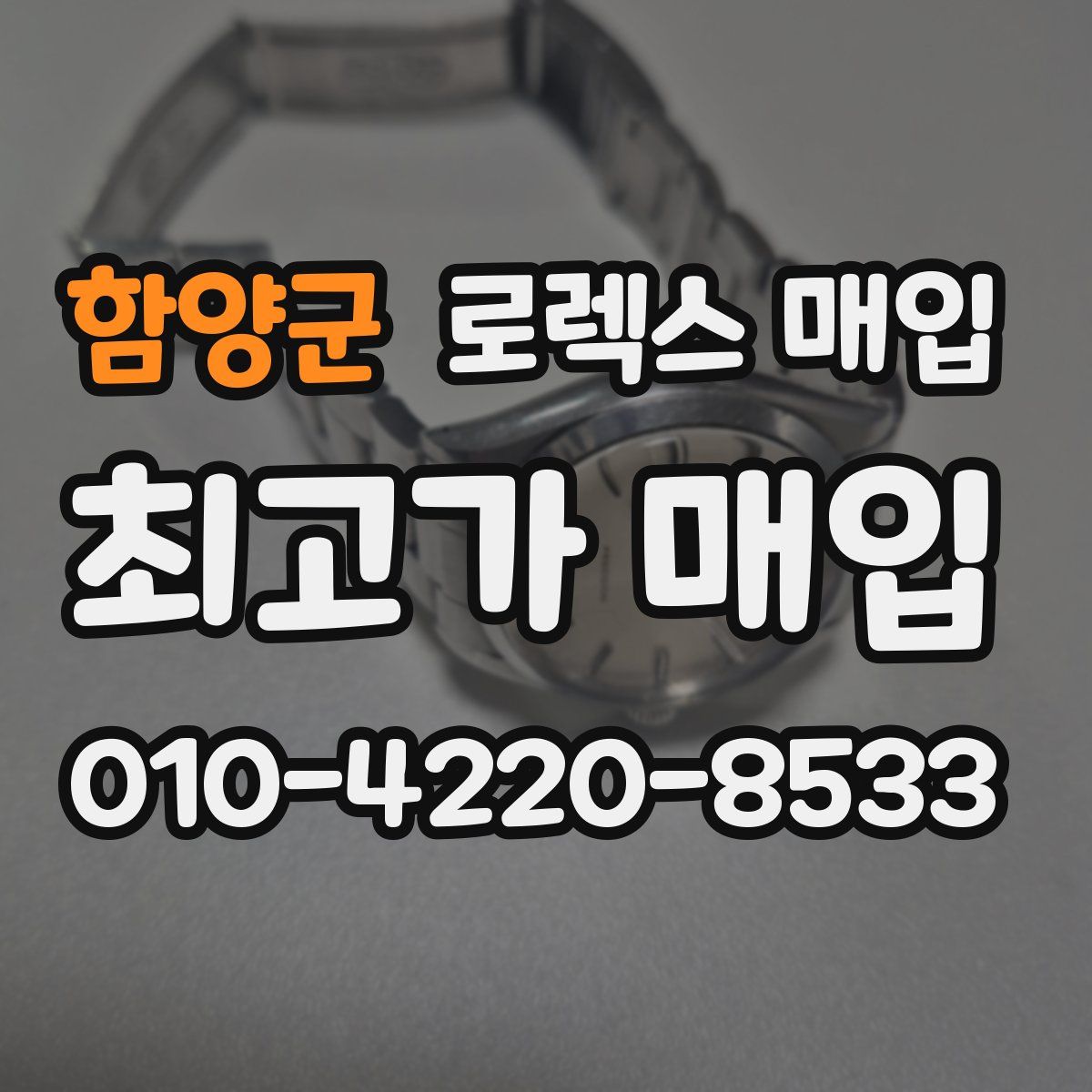 함양군 로렉스 매입
