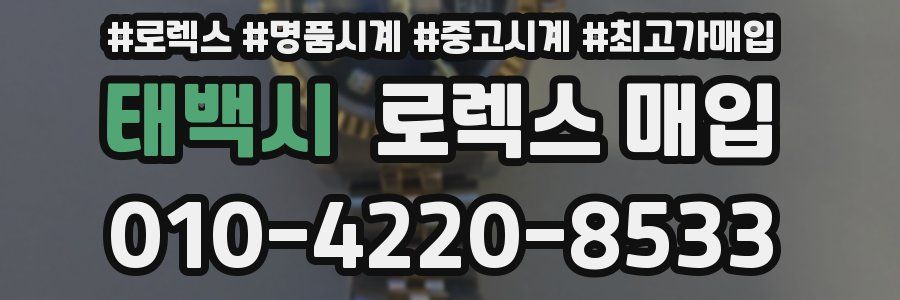 태백시 로렉스 매입