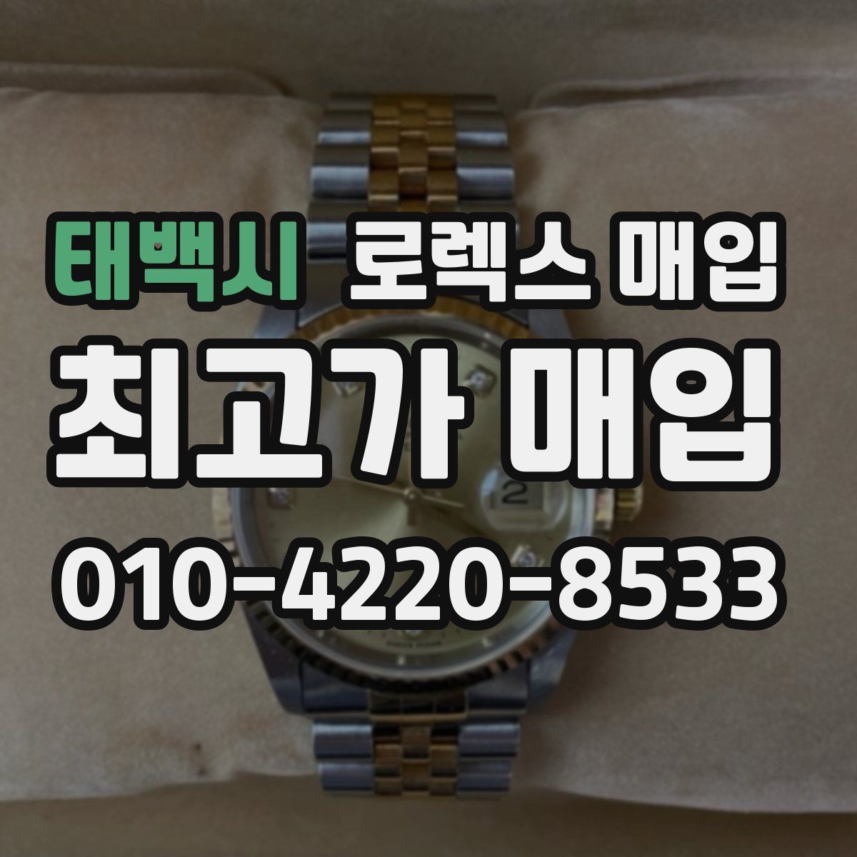 태백시 로렉스 매입