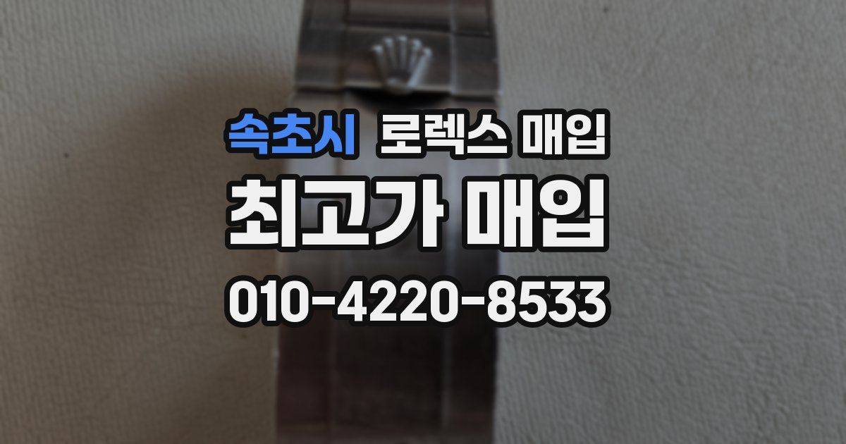 속초시 로렉스 매입