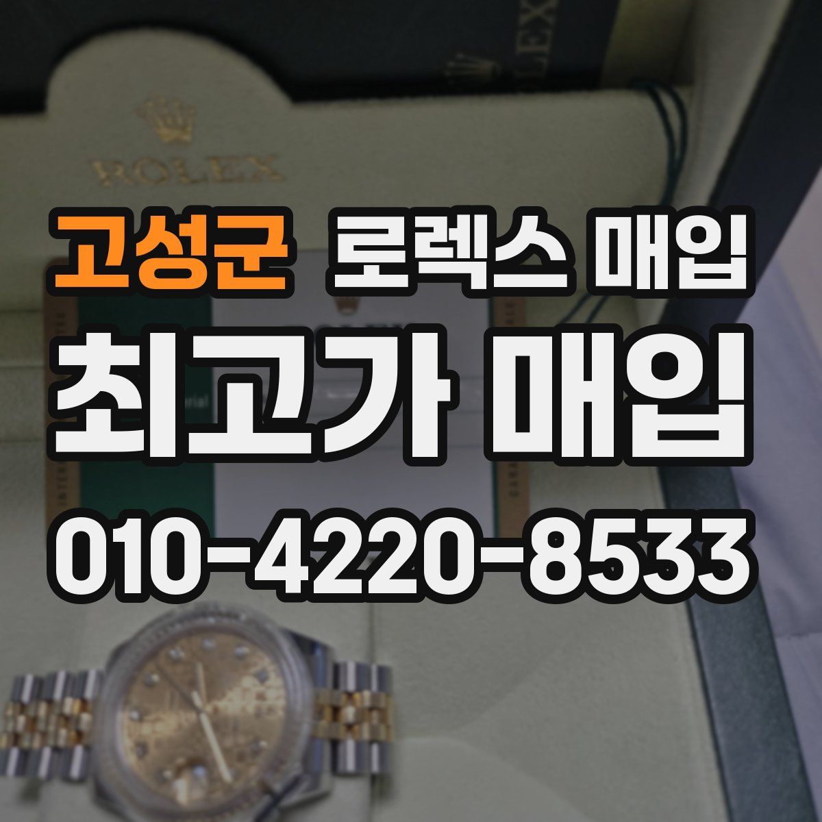 고성군 로렉스 매입