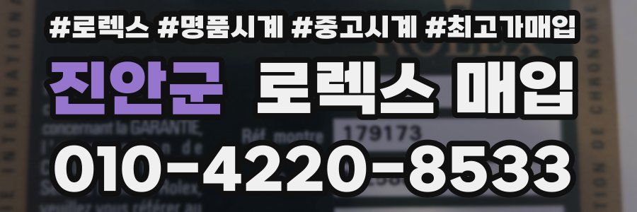 진안군 로렉스 매입