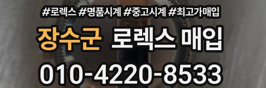 장수군 로렉스 매입