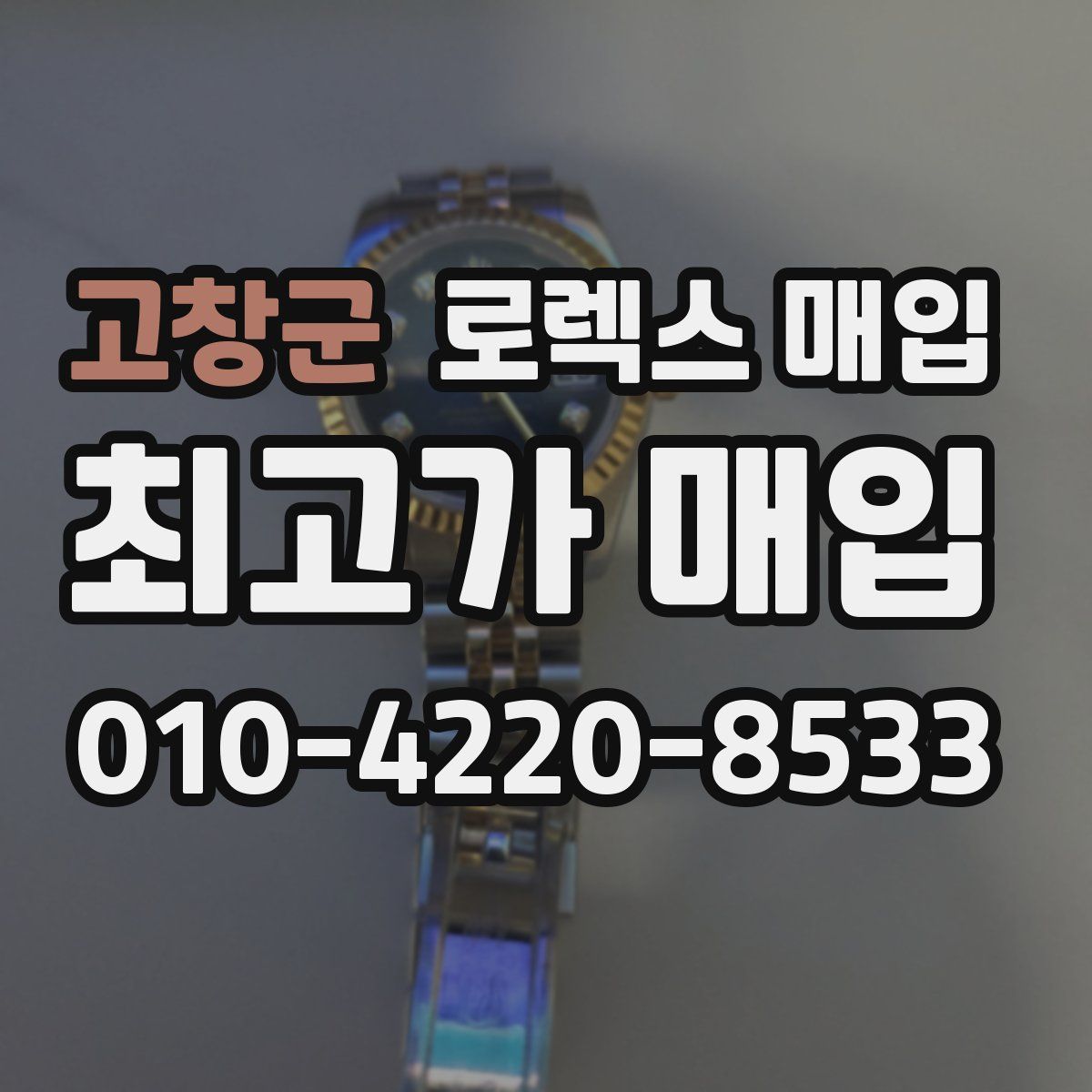 고창군 로렉스 매입