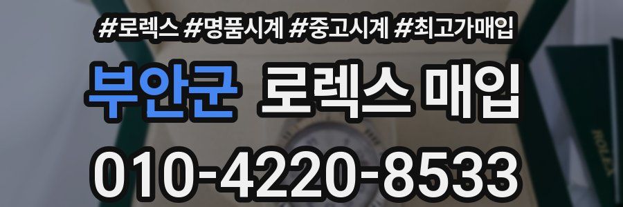 부안군 로렉스 매입