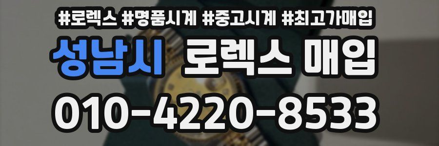 성남시 로렉스 매입