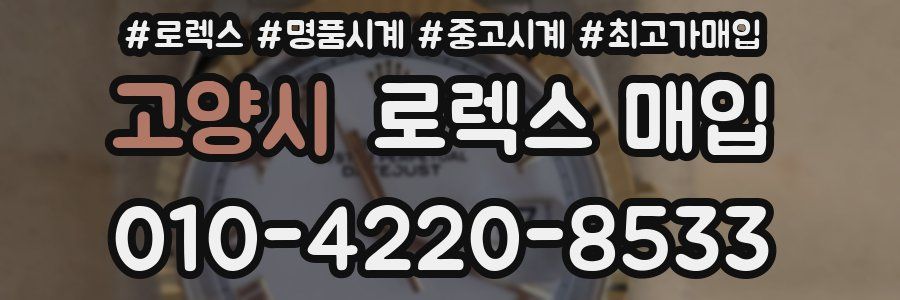 고양시 로렉스 매입