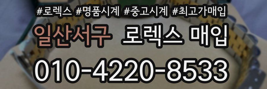 일산서구 로렉스 매입