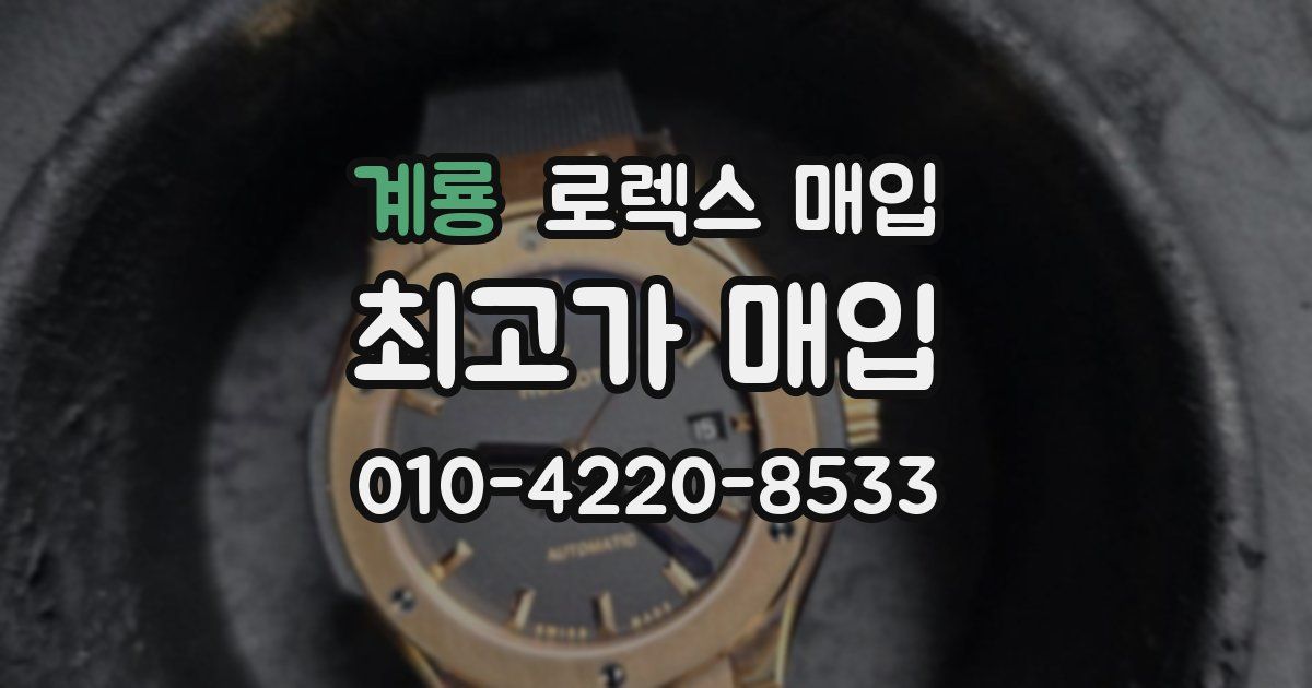 계룡 로렉스 매입