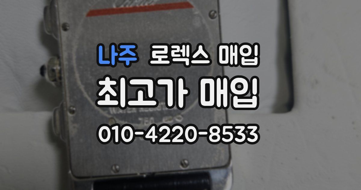 나주 로렉스 매입