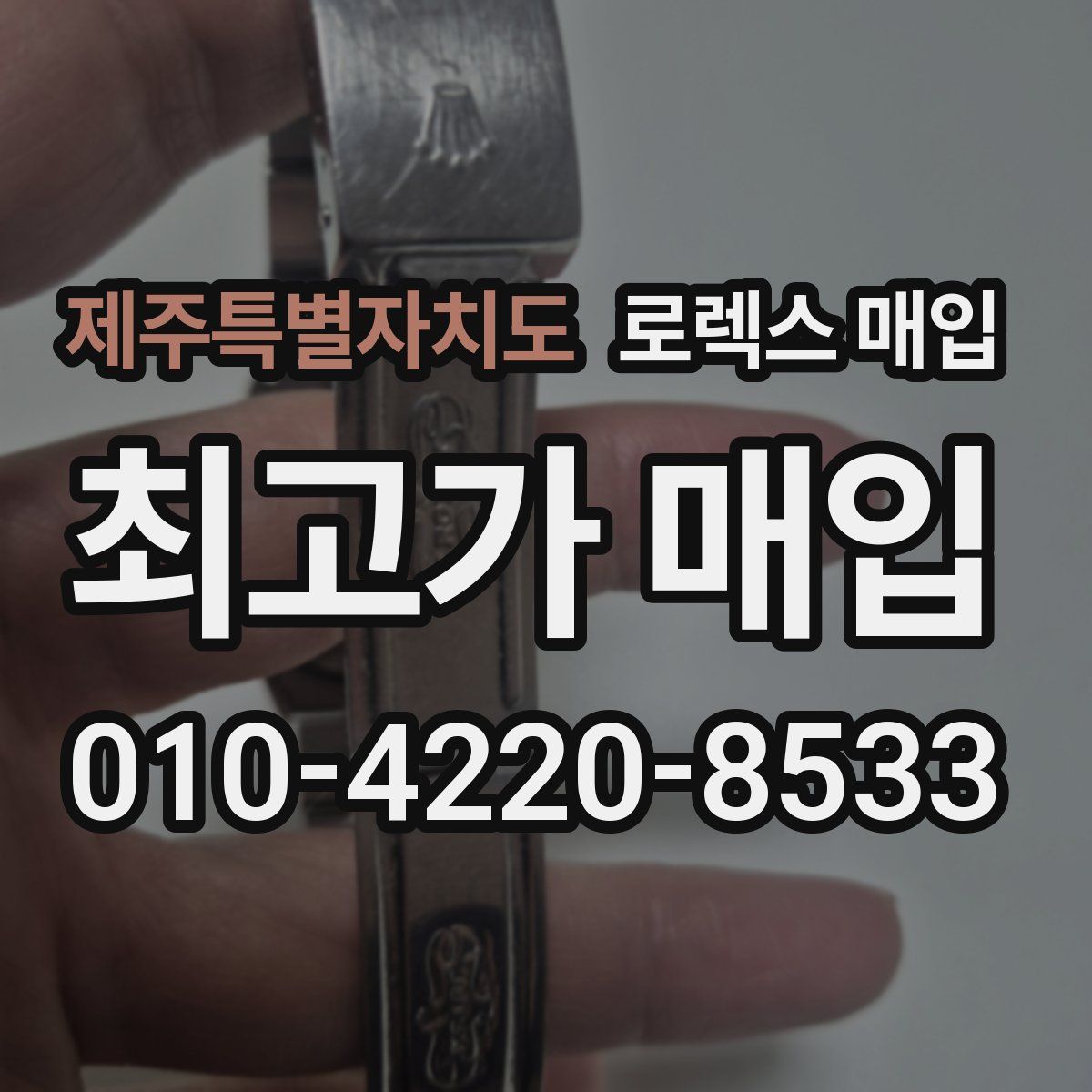 제주특별자치도 로렉스 매입