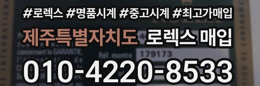 제주특별자치도 로렉스 매입