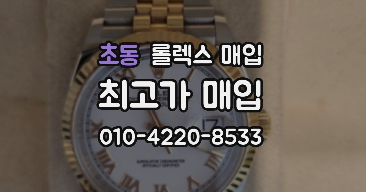 초동 롤렉스 매입