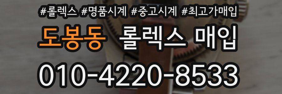 도봉동 롤렉스 매입