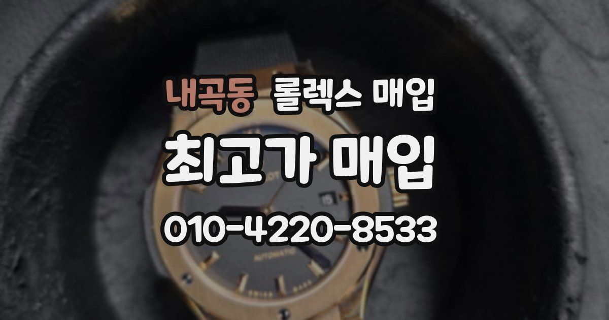내곡동 롤렉스 매입