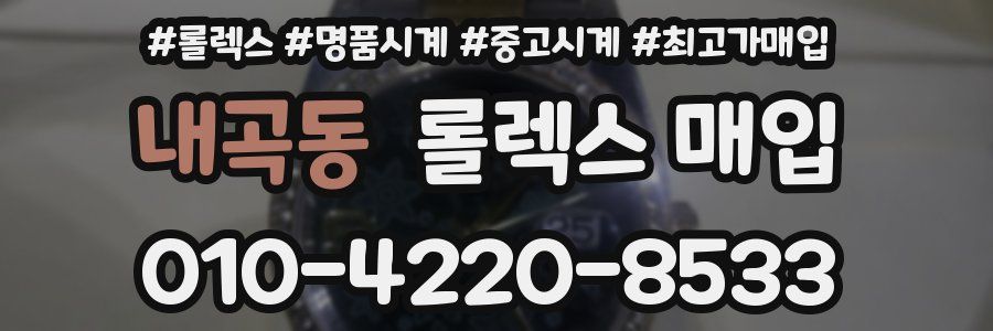 내곡동 롤렉스 매입