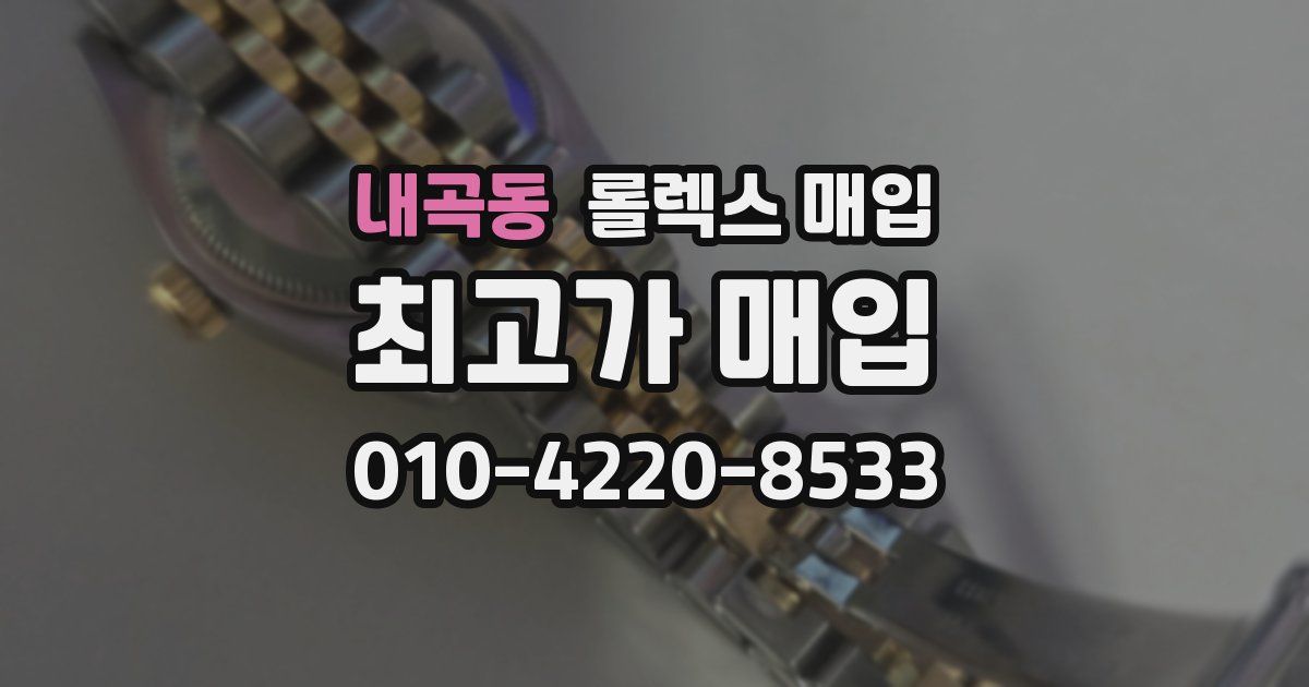 내곡동 롤렉스 매입