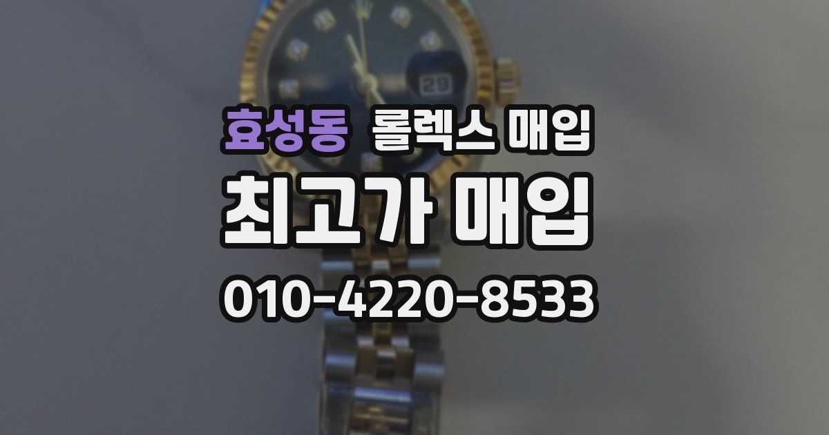 효성동 롤렉스 매입