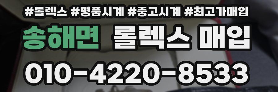 송해면 롤렉스 매입