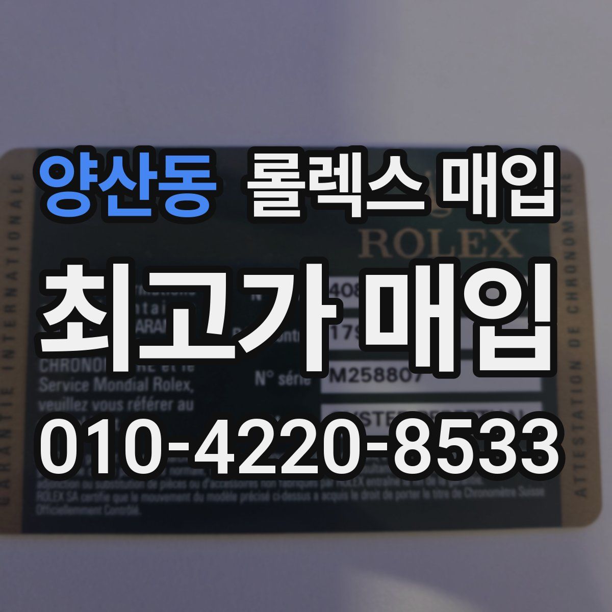 양산동 롤렉스 매입