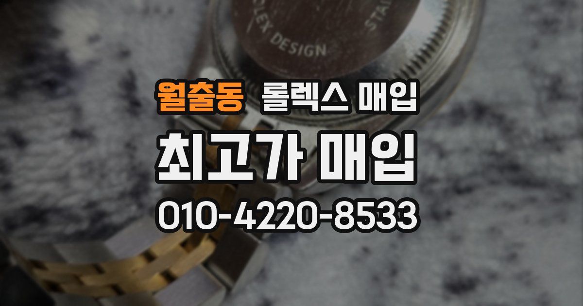 월출동 롤렉스 매입
