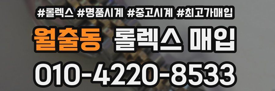 월출동 롤렉스 매입