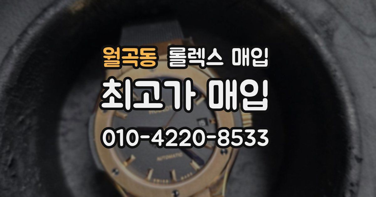 월곡동 롤렉스 매입