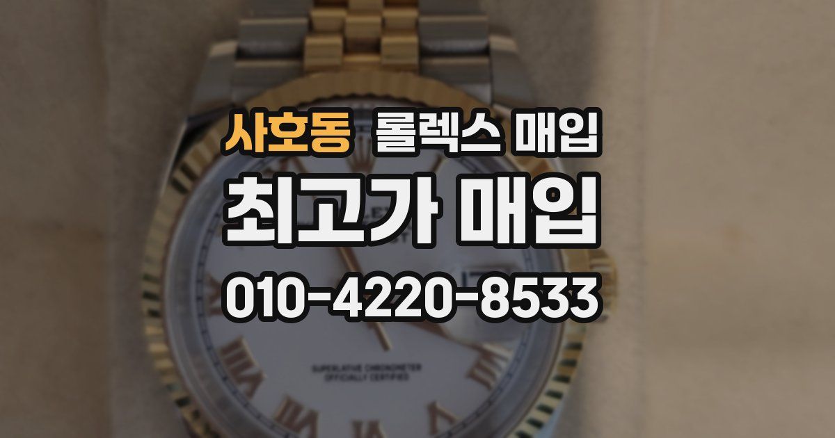 사호동 롤렉스 매입