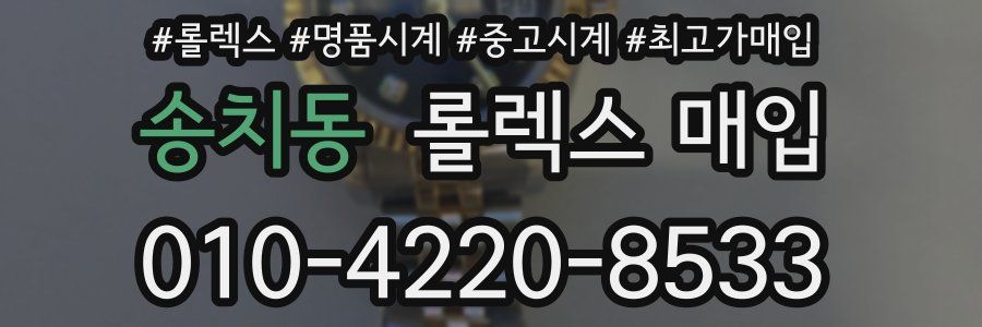 송치동 롤렉스 매입