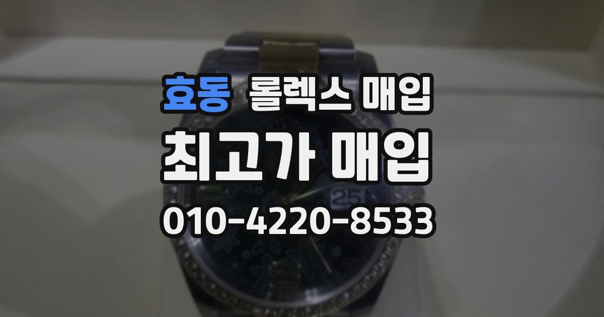 효동 롤렉스 매입
