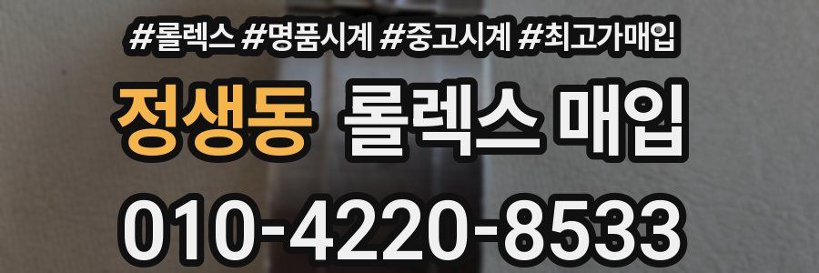 정생동 롤렉스 매입