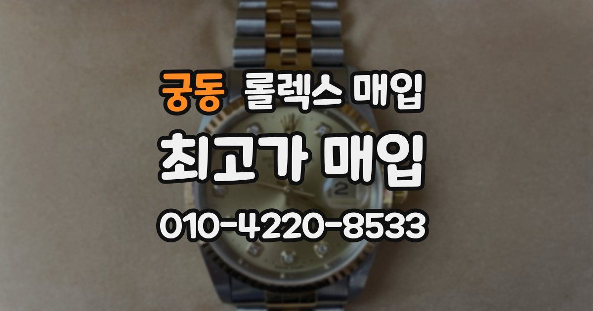 궁동 롤렉스 매입