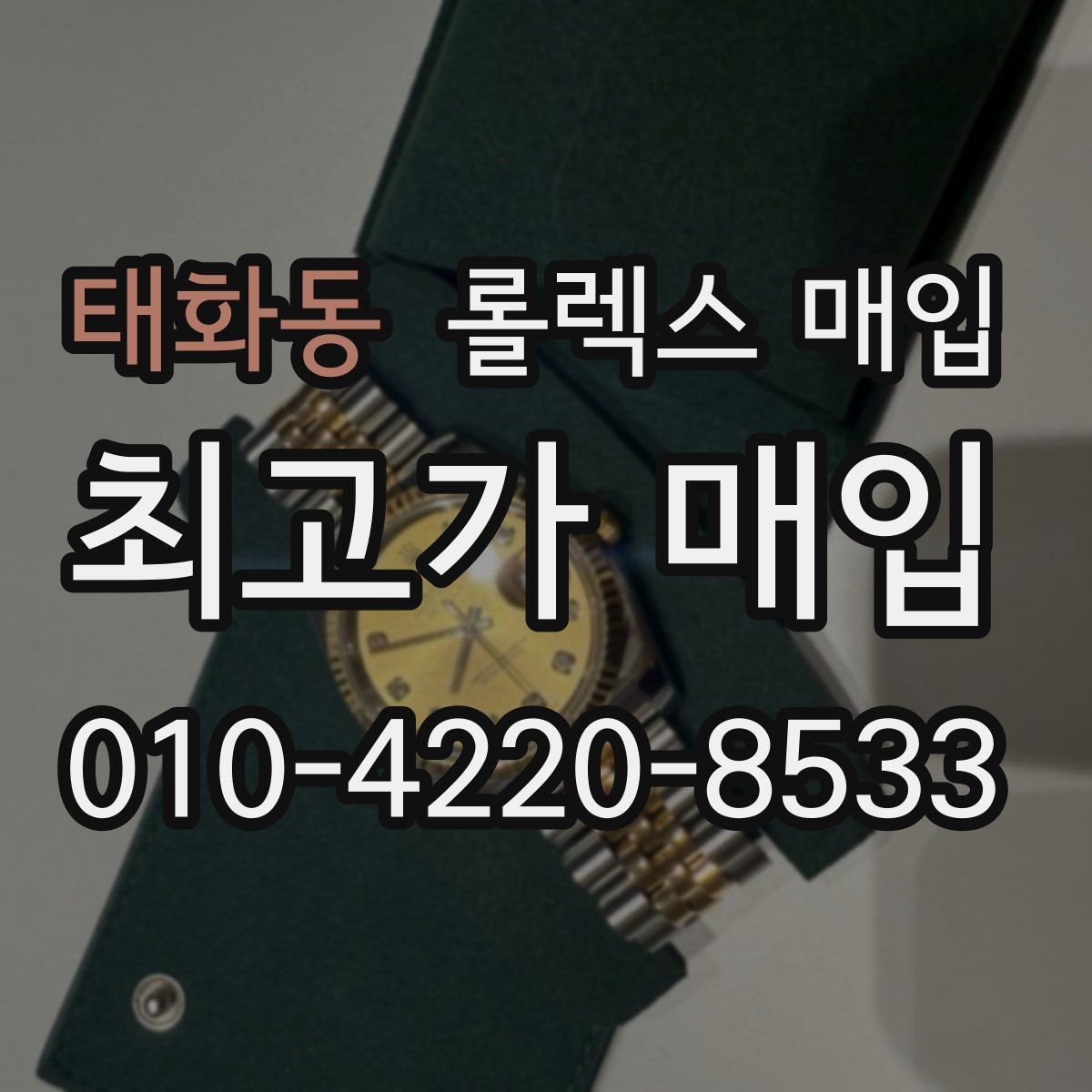 태화동 롤렉스 매입