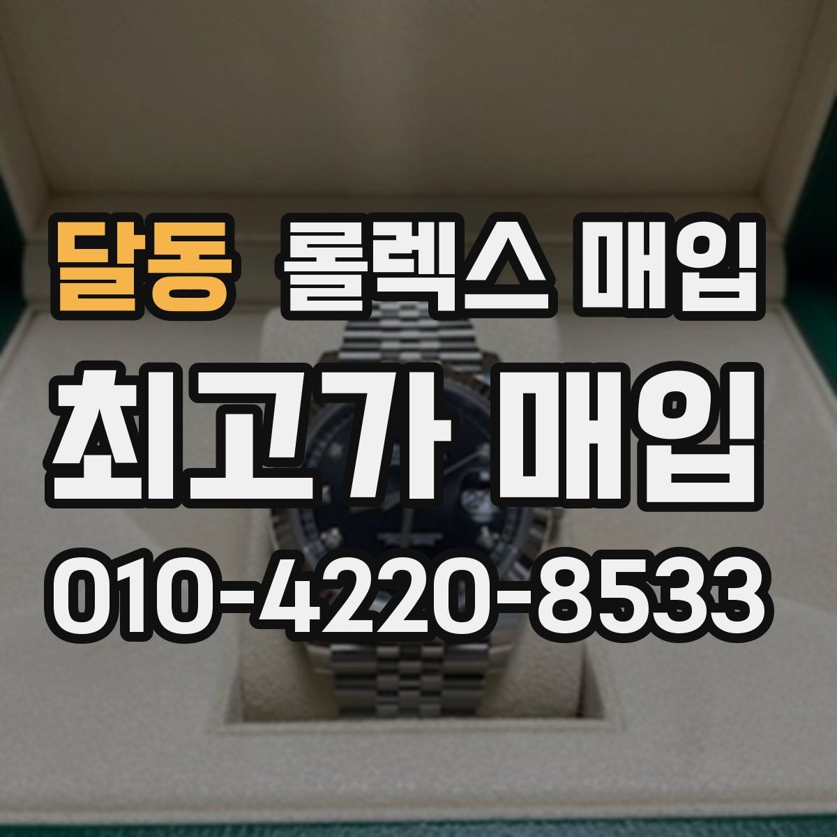 달동 롤렉스 매입