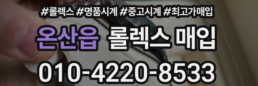 온산읍 롤렉스 매입