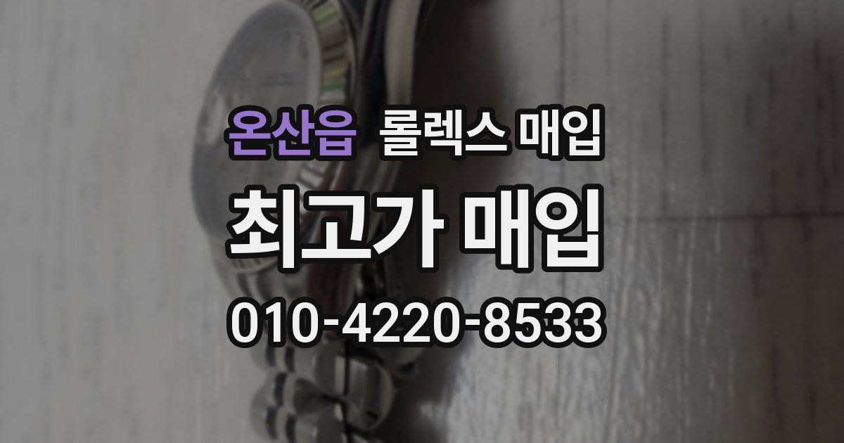 온산읍 롤렉스 매입