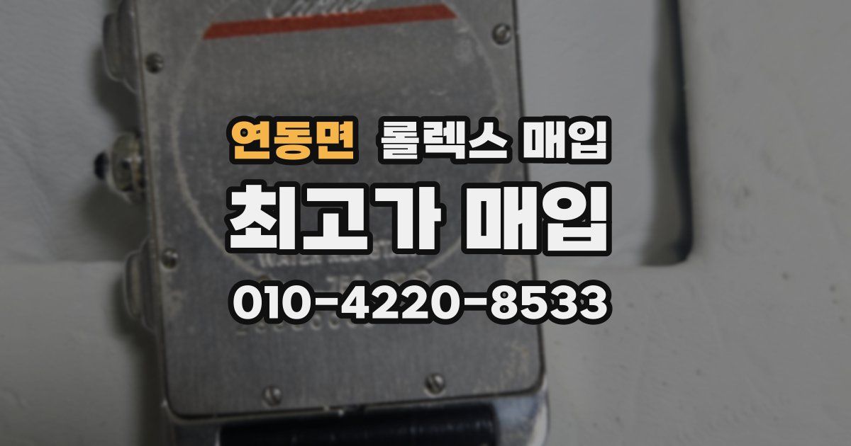 연동면 롤렉스 매입
