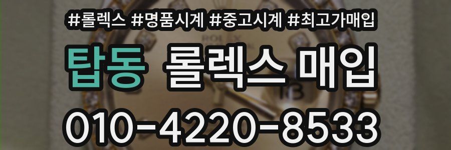 탑동 롤렉스 매입