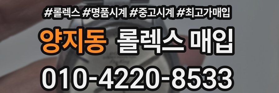 양지동 롤렉스 매입