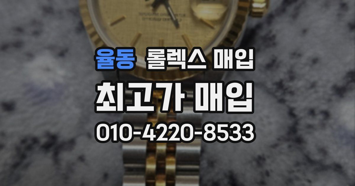 율동 롤렉스 매입