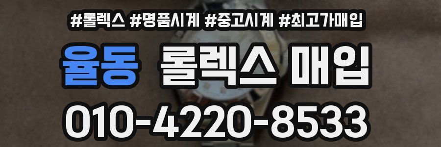 율동 롤렉스 매입
