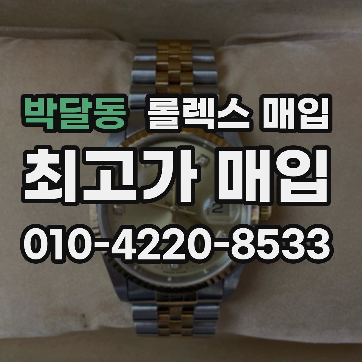 박달동 롤렉스 매입 쥬빌리 스트랩 시세 포인트