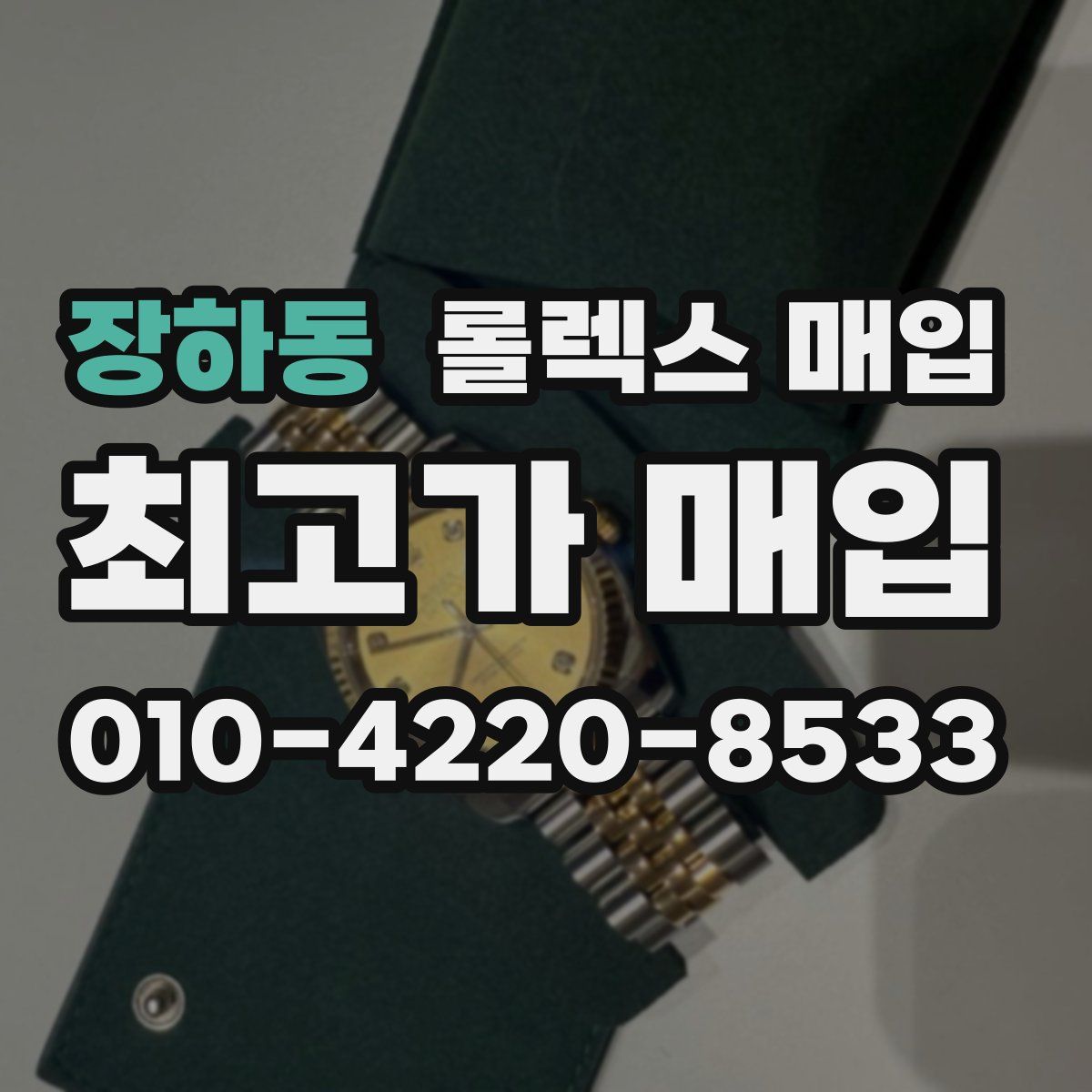 장하동 롤렉스 매입