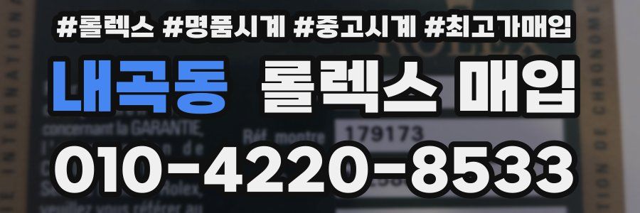 내곡동 롤렉스 매입