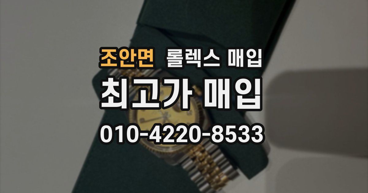 조안면 롤렉스 매입