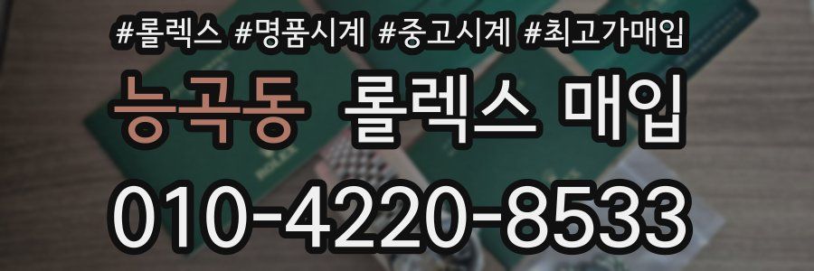 능곡동 롤렉스 매입