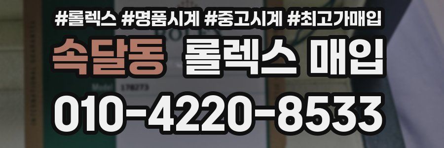 속달동 롤렉스 매입