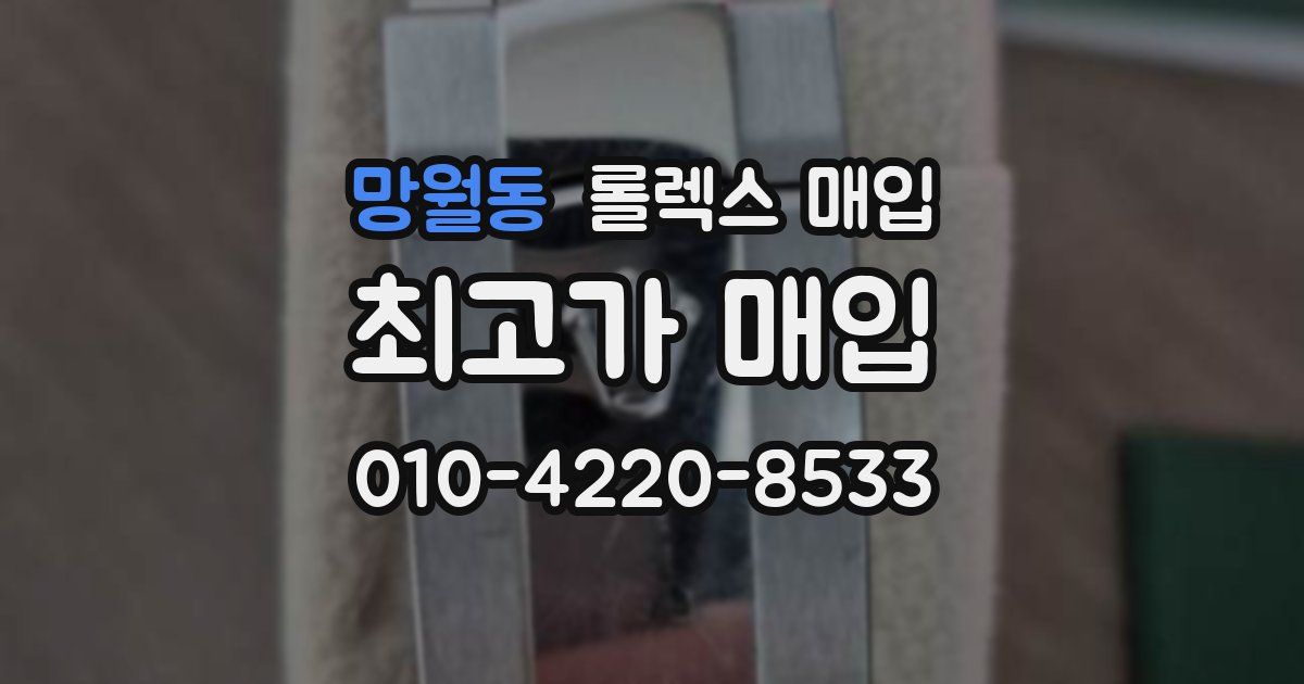 망월동 롤렉스 매입