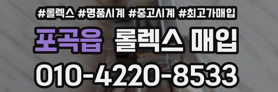 포곡읍 롤렉스 매입