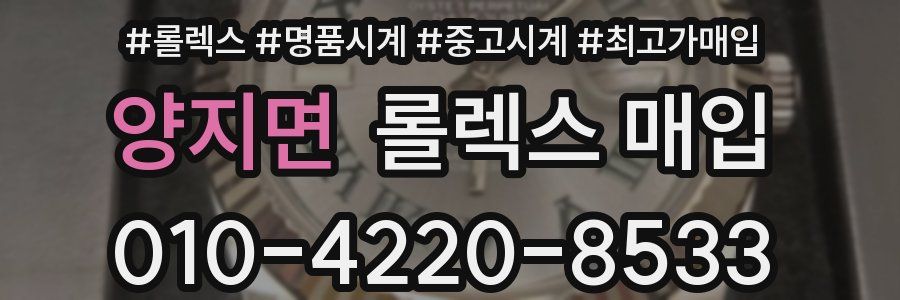 양지면 롤렉스 매입